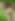 Photo website.png