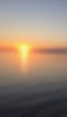 IMG_5450 (1).jpeg