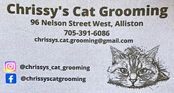 Chrissy's Cat Grooming.jpg