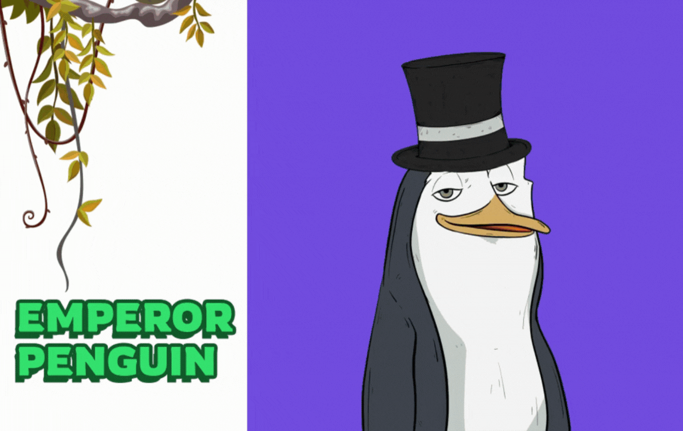 Penguen.gif