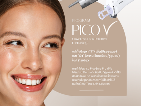 ทำความรู้จัก เจาะลึกกับ โปรแกรม PicoV คืออะไร? ดีไหม? ช่วยเรื่องอะไรบ้าง?