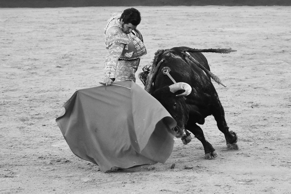 22 Morante 15th August 2023