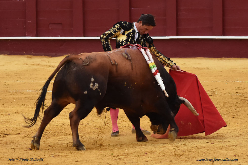 18 Diego Urdiales