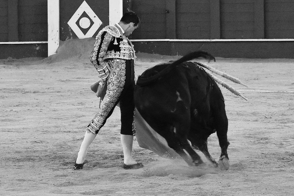 31 Fortes 16th August 2023