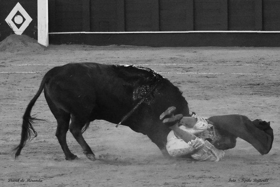 29 David de Miranda