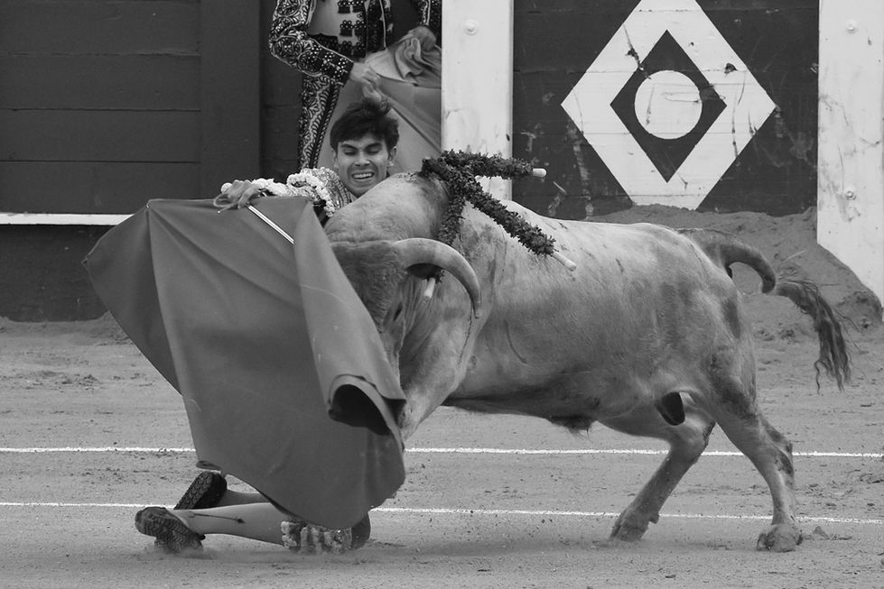 08 El Exquisito 18th August 2023