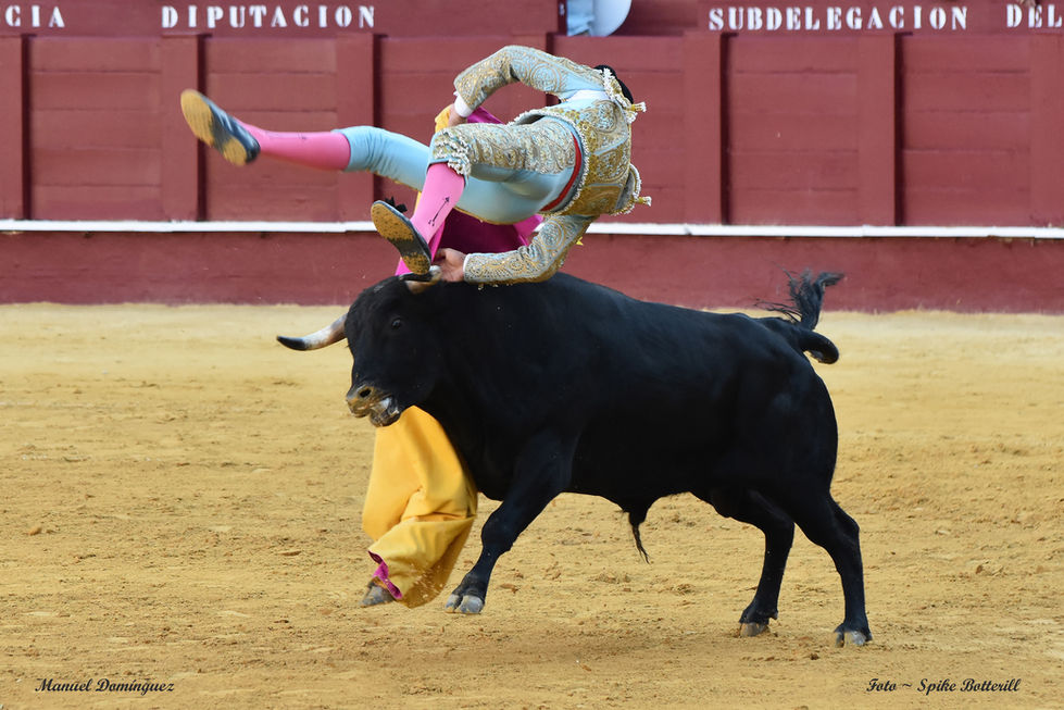 12 Manuel Domínguez