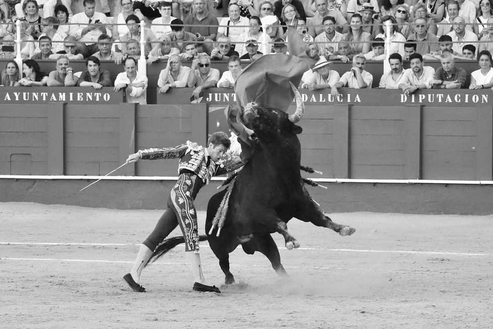 51 Borja Jiménez 19th August 2024