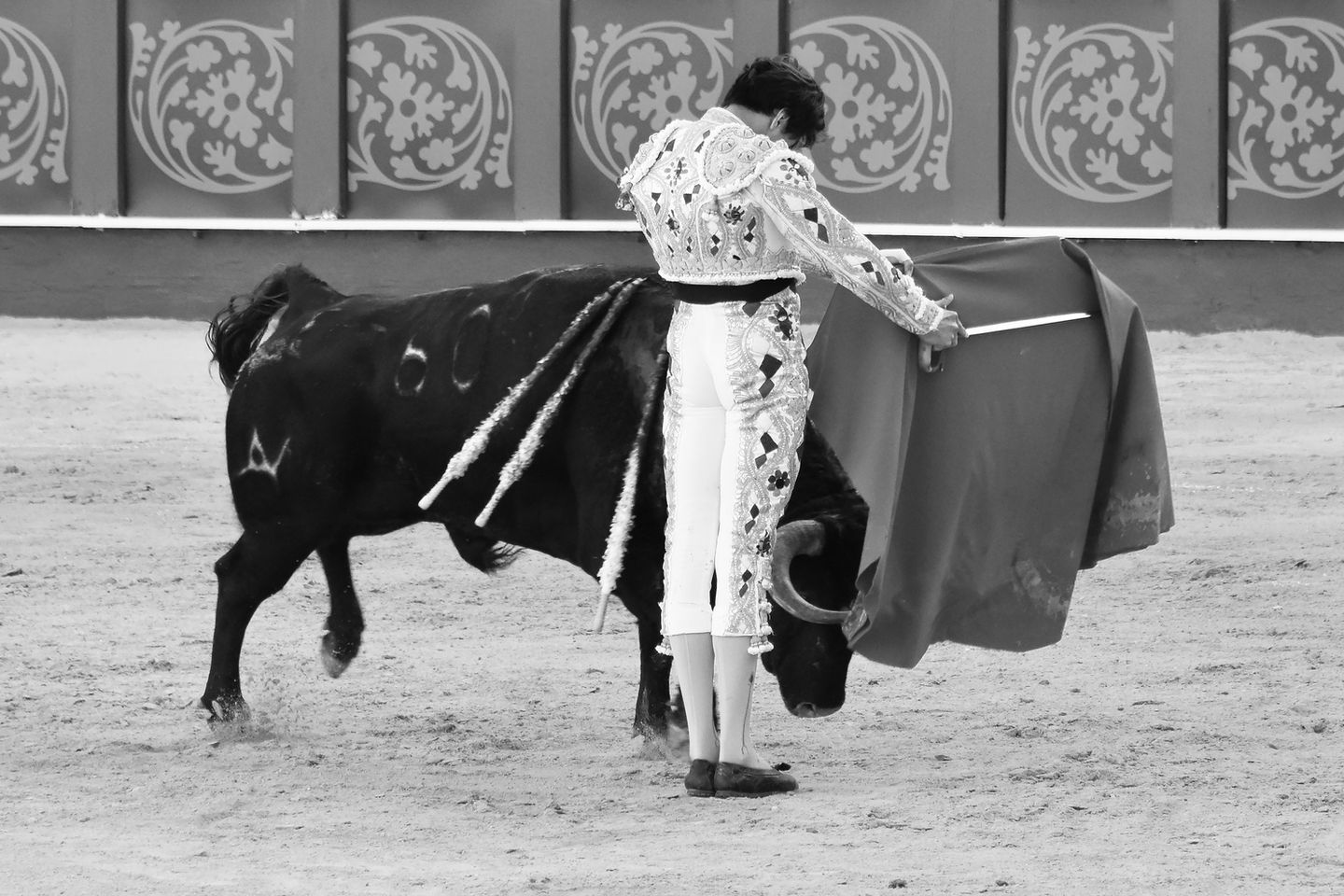 42 Roca Rey 19th April 2025