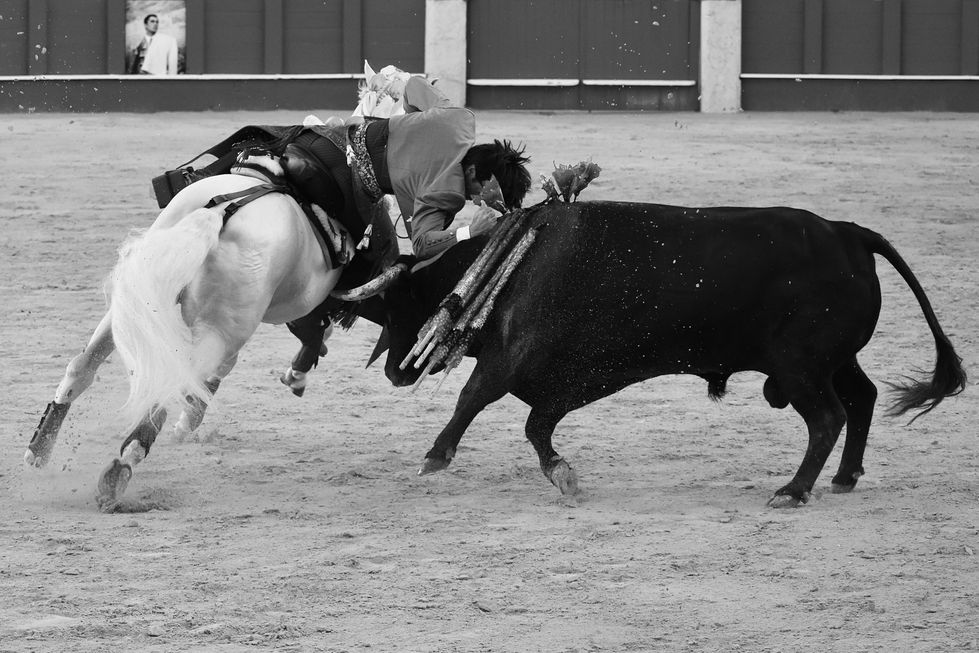 40 Diego Ventura 17th August 2024