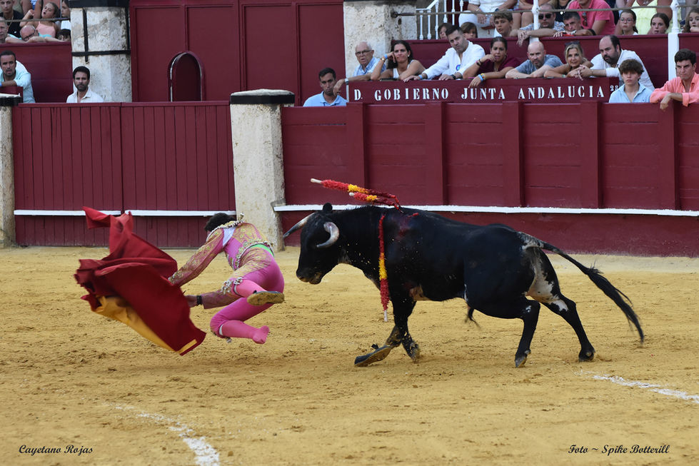 16 Cayetano Rojas