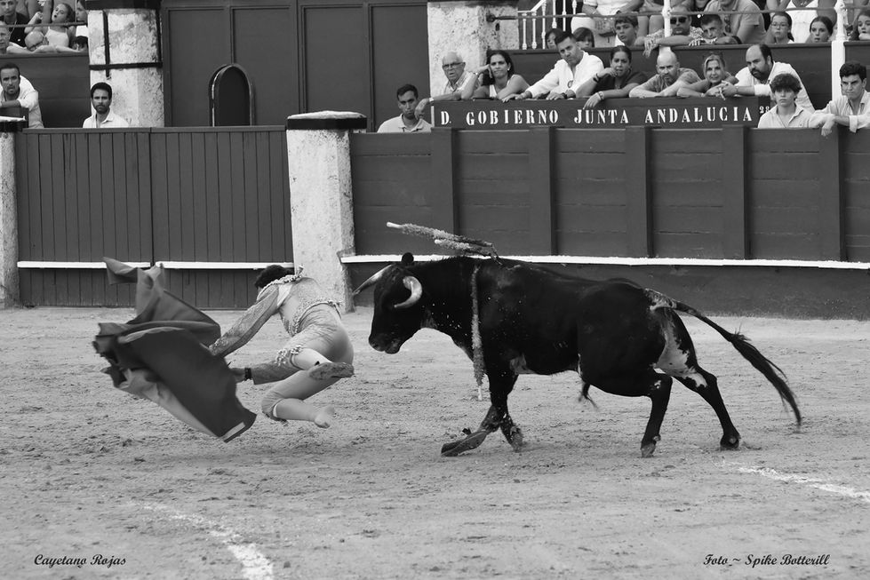 16 Cayetano Rojas