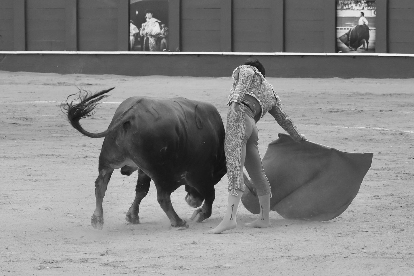 35 López Ortega 22nd August 2024