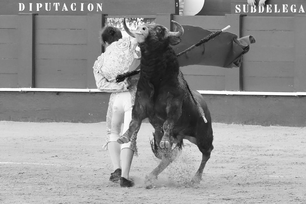 39 Manuel Martínez 23rd August 2024