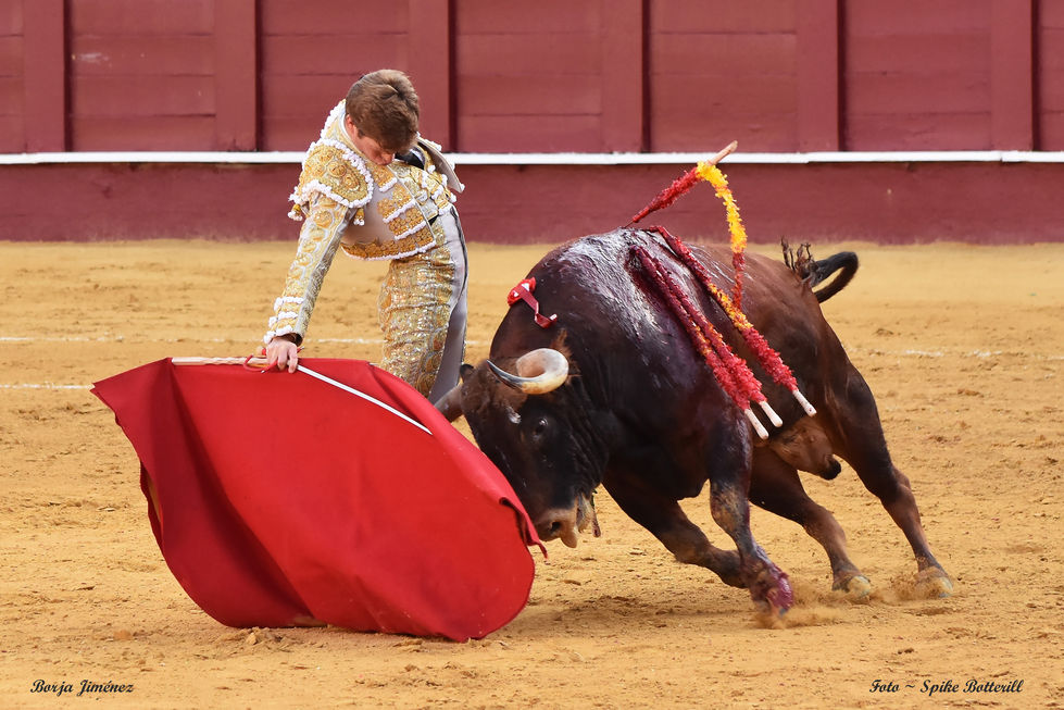 25 Borja Jiménez