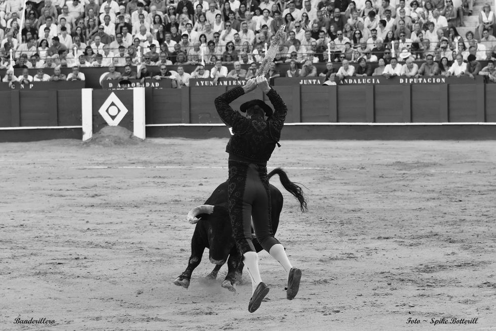 43 Banderillero Eliseos