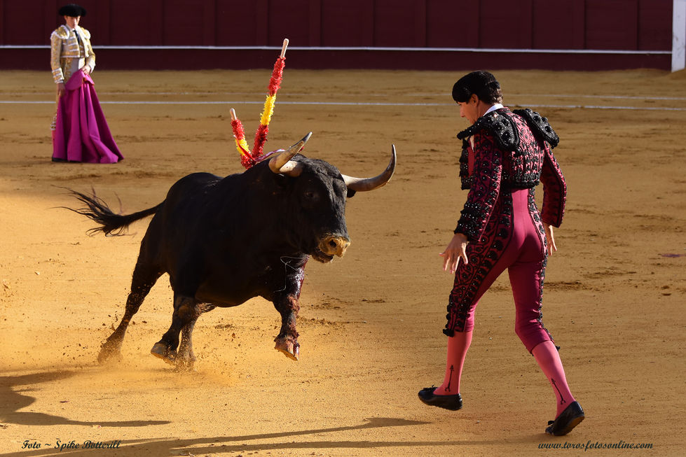 20 Banderillero