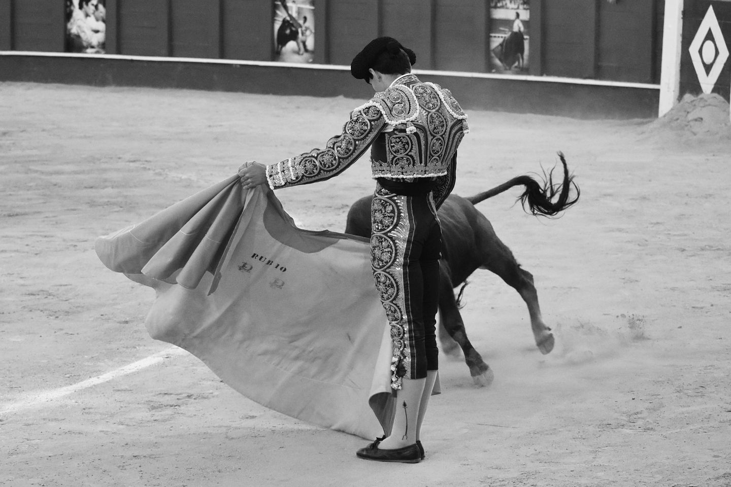 48 Alejandro Rubio 22nd August 2024