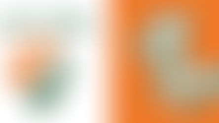 Rebranding The Past, Present and Future - LeFlore Magnet School