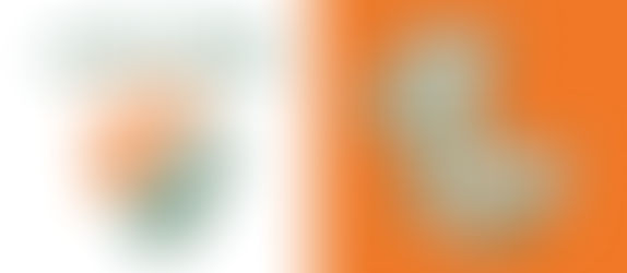 Rebranding The Past, Present and Future - LeFlore Magnet School