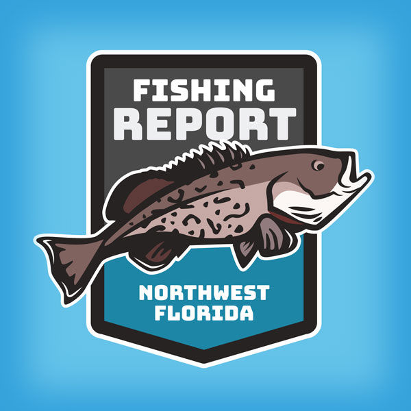 NWFFR-DFS-logo-600