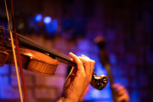 violin-4533910_1920.jpg