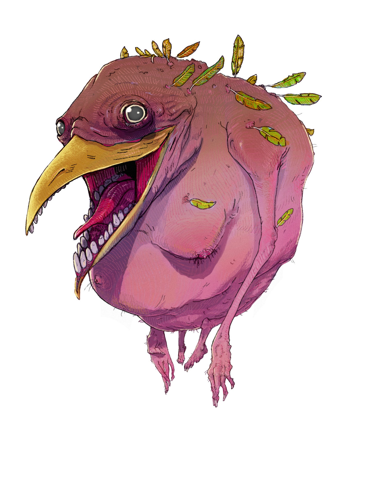 IMG_0172.png