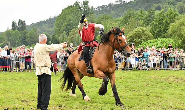 DSC_6788.jpg