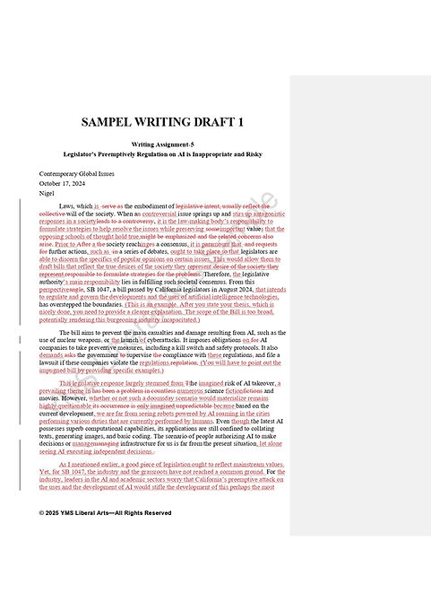 3. YMS Liberal Arts Contemporary Global Issues_page-0003.jpg