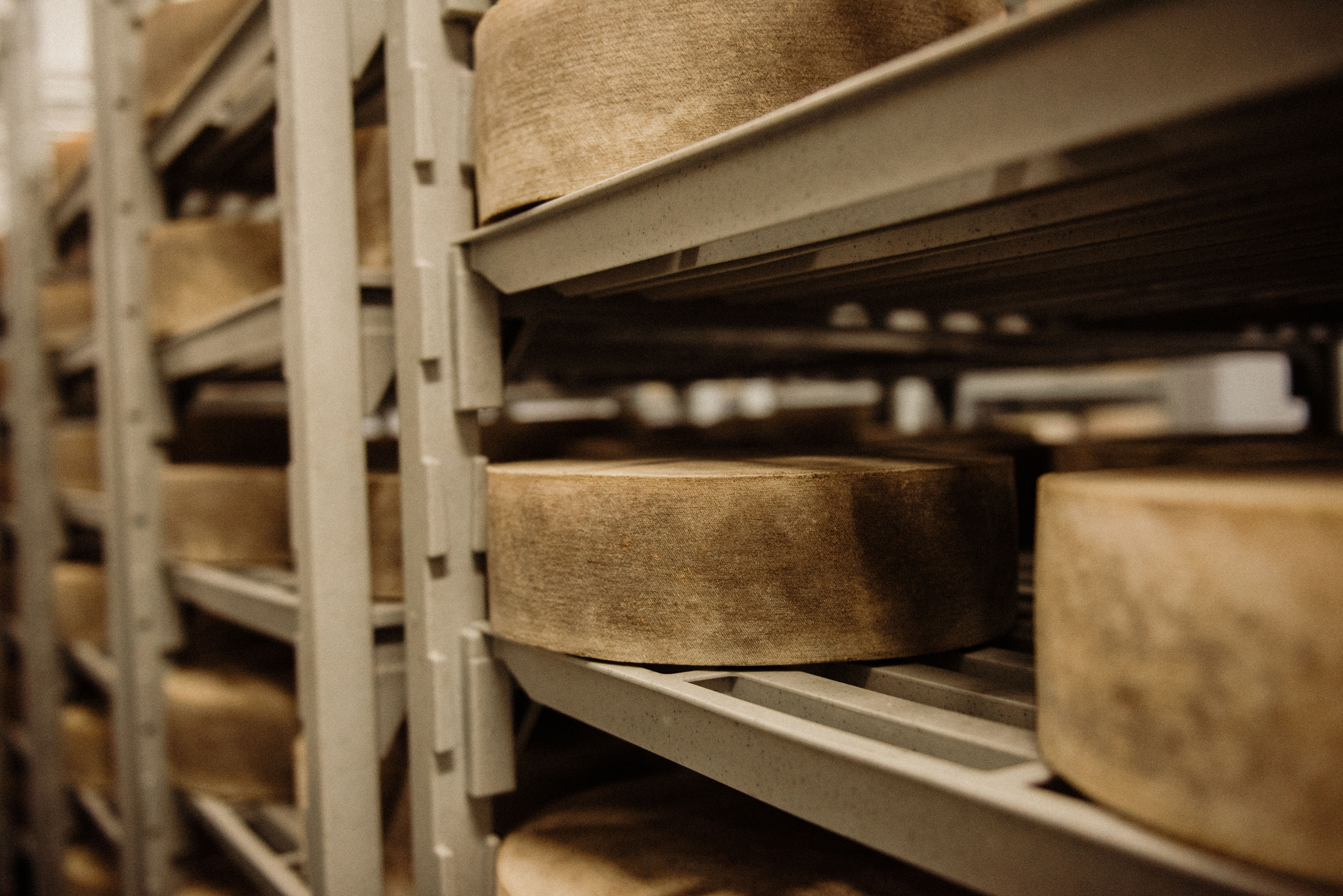 Speed date sampler pack