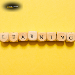 Chữ “LEARNING” trên nền vàng, biểu tượng cho phương pháp học tập khác biệt của LingoPure: ưu tiên thực hành, sau đó mới đến lý thuyết, phù hợp cho người đi làm và doanh nghiệp tại Việt Nam.