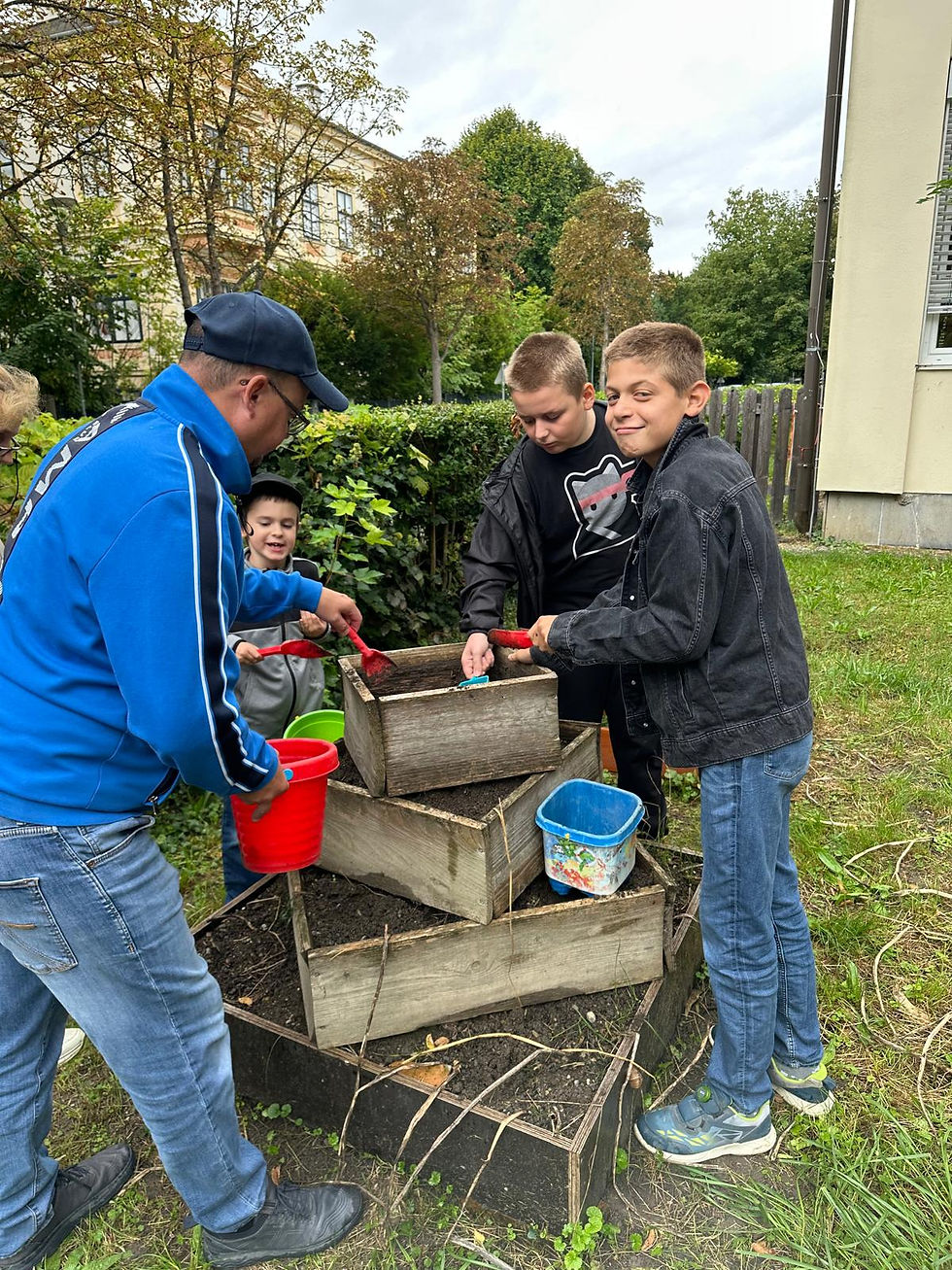 Ernten im Schulgarten