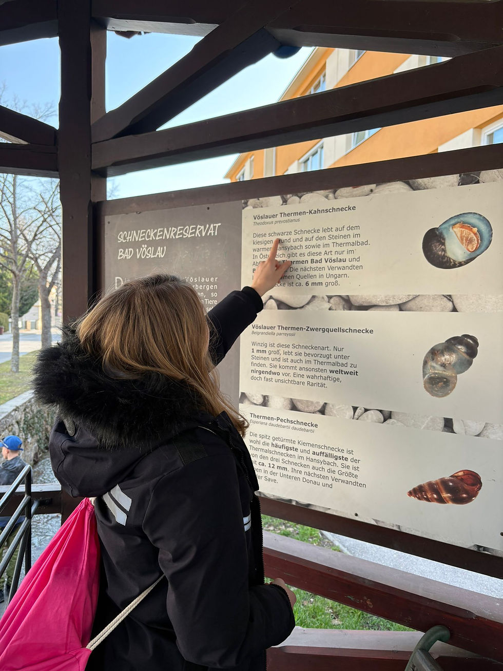 Schüler des Kreativen Lernzentrum Bad Vöslau