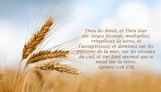 Lire la Bible pendant le carême