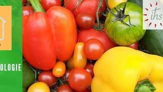 Prochain Déjeuner écologie le 16 octobre