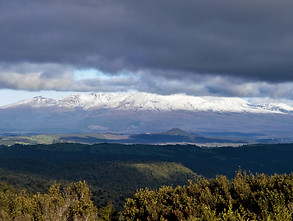 NZ15.jpg