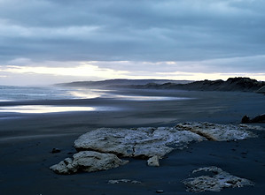 NZ16.jpg