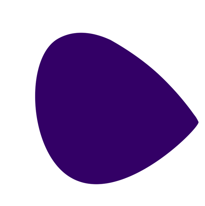BalaoRoxoEscuro_10x.png