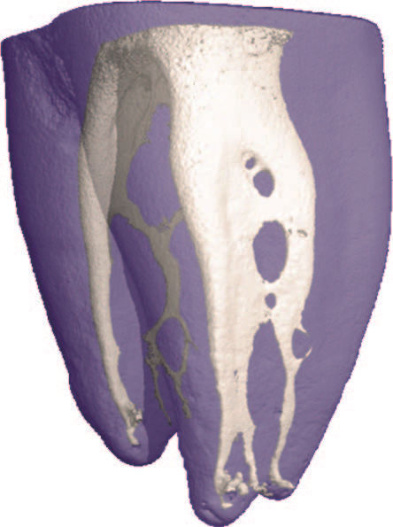 SAF_Klinicka_brozura_C22.jpg