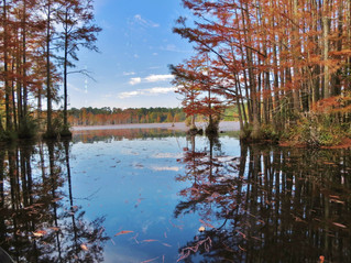 Best RV Parks on I-95
