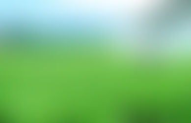 La Agroindustria argentina sigue en crecimiento: Exportaciones suben un 7% en el primer bimestre