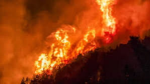 Buenos Aires envió refuerzos a Chubut para combatir incendios forestales