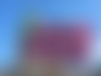 El gobierno reglamenta la Ley de Emergencia Nacional en Discapacidad tras fallo judicial