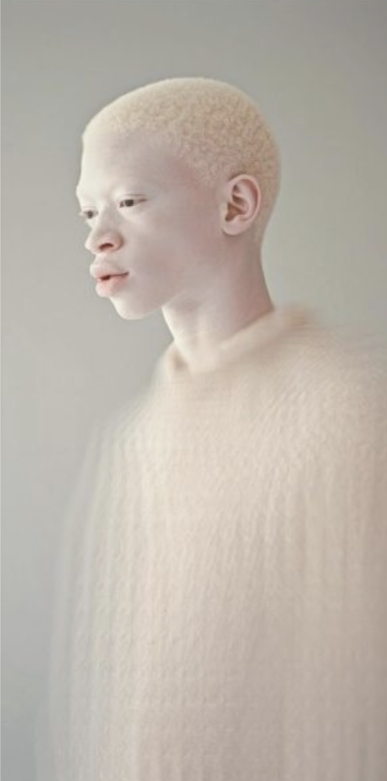 Asset 1Color Palette Image.png