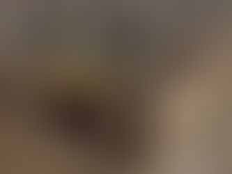 Miljøkatastrofen ved Nordic Waste-grunden kan mærkes på boligpriserne