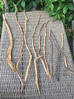wands3.jpeg