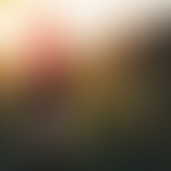 Never Alone                                                  (Bible Study) 