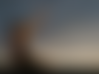 Never Forsaken: The Security of Trusting God's Name  (Bible Study)