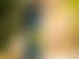 Fun Inna Di Son: Stay Hydrated. Stay Rooted