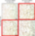 Biology image showing evident duplication, illustrating the concept of image reuse in life science publications.